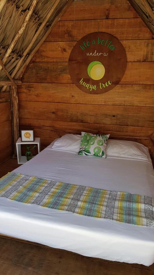 El Buho Bacalar Eco-Cabanas Hostal Bagian luar foto