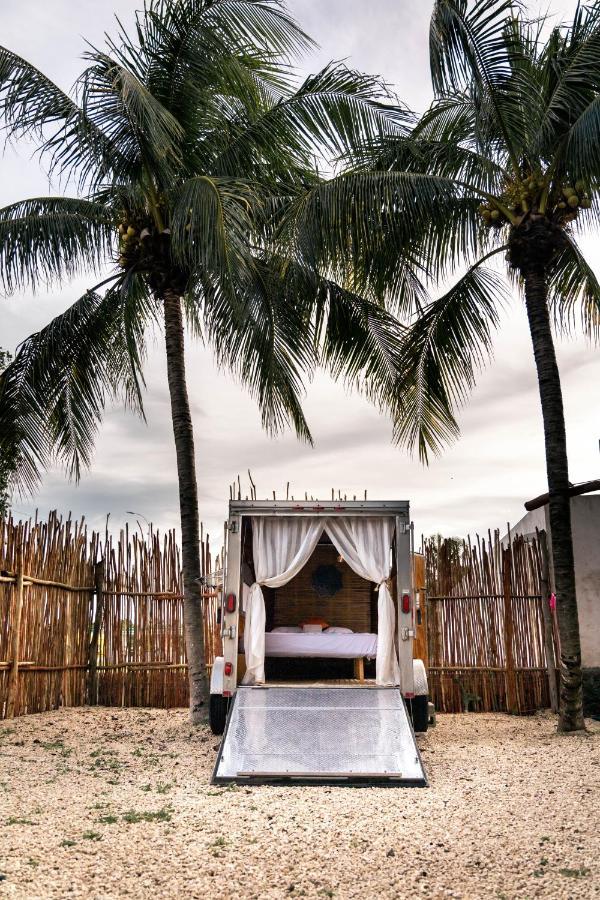 El Buho Bacalar Eco-Cabanas Hostal Bagian luar foto