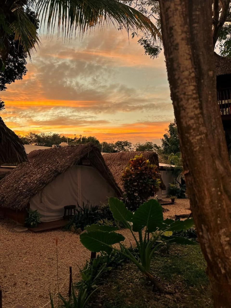El Buho Bacalar Eco-Cabanas Hostal Bagian luar foto