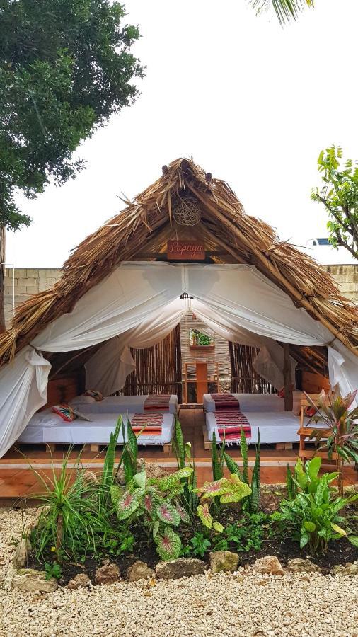 El Buho Bacalar Eco-Cabanas Hostal Bagian luar foto